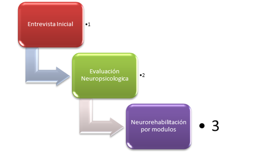 clínica neuropsicológica, módulos de entrenamiento neuropsicológicos